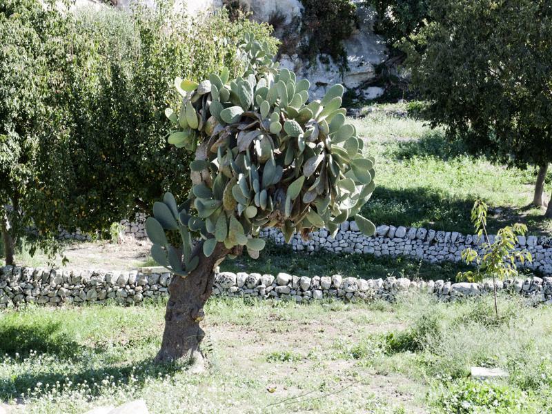 Valle Dell'Acanto モーディカ エクステリア 写真